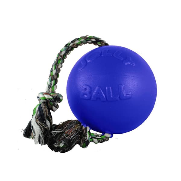Jolly Pets Romp-N-Roll Dog Ball