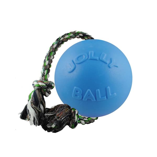 Jolly Pets Romp-N-Roll Dog Ball