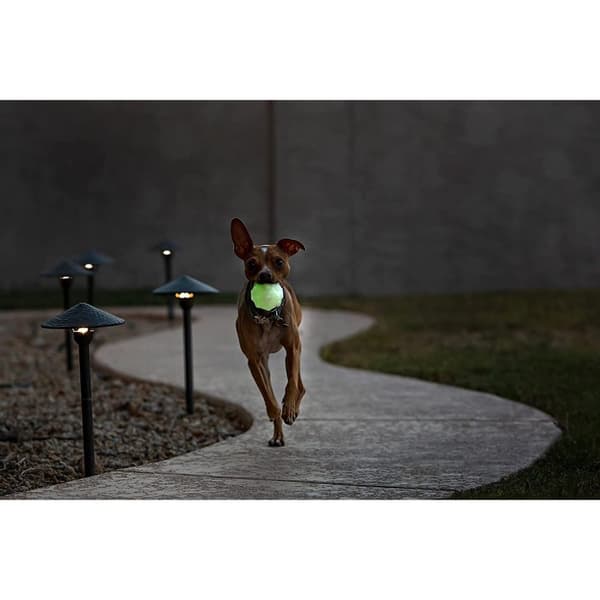 Jolly Pets Jolly Jumper Dog Ball
