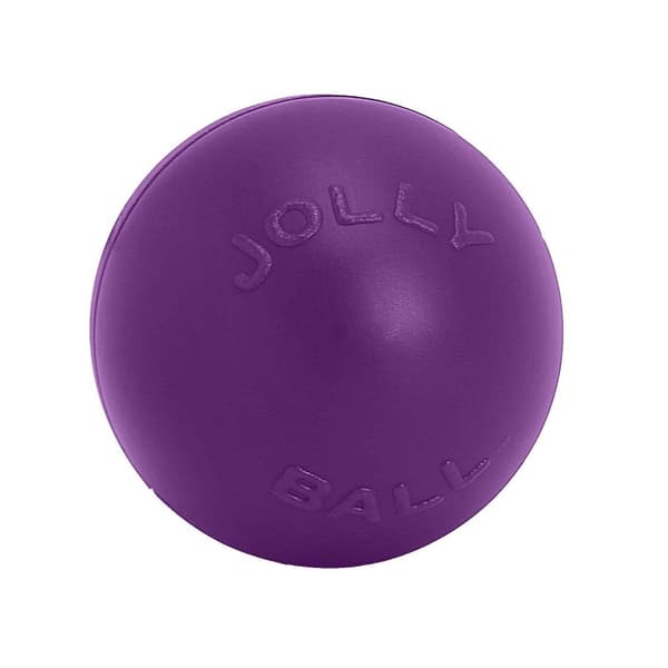 Jolly Pets Push-N-Play hundebold