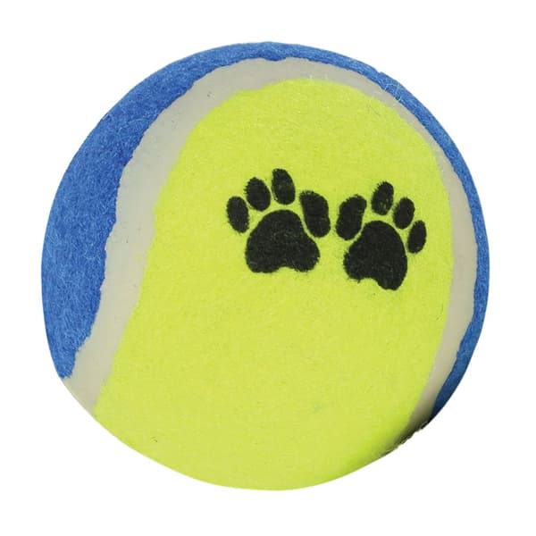 Regatta Dogs Tennis Balls (Pack of 4)