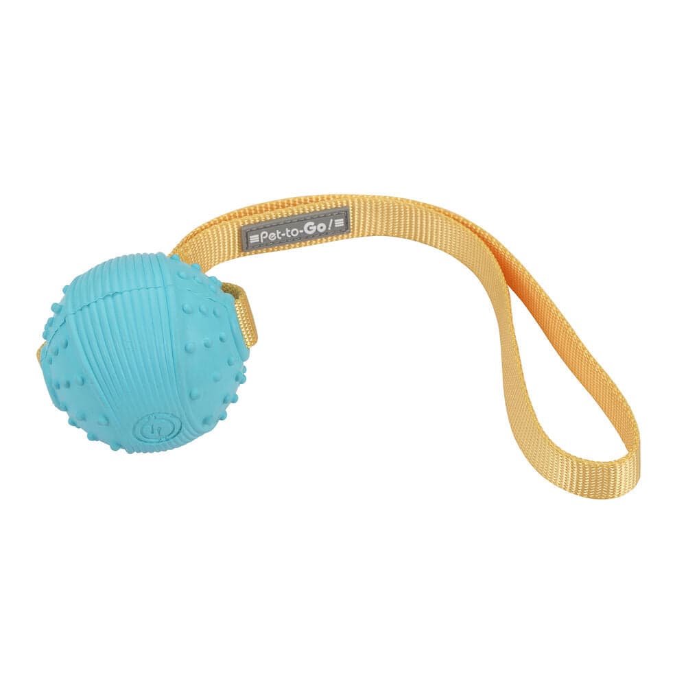 Dog Toy Hearts & Homies Blue