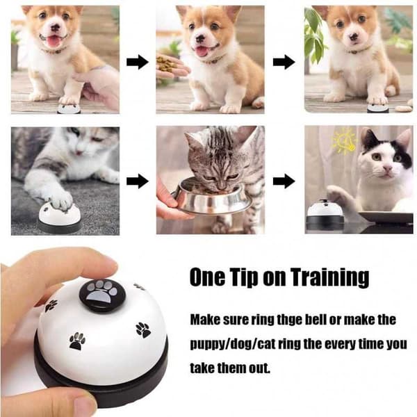 Träningsklocka Hund / Katt
