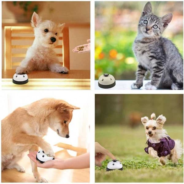 Träningsklocka Hund / Katt
