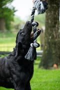 Pikkukuva 4 / 4: Floss Boss Dental Rope 5 knot - Hammaslankaa köysi pitkäaikaiseen nautintoon