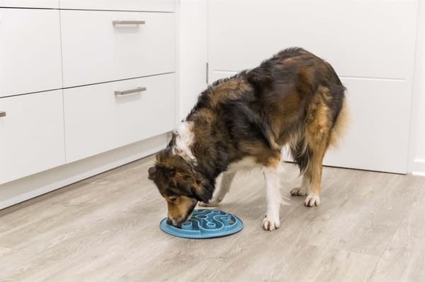Slow Feed fodermatta, TPE, ø 28 cm, blå Aktivitetsprodukt