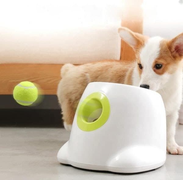 Automatisk Bollkastare – Hund – 3,6,9m