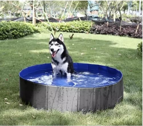 Hundpool Hopfällbar - 100x30cm
