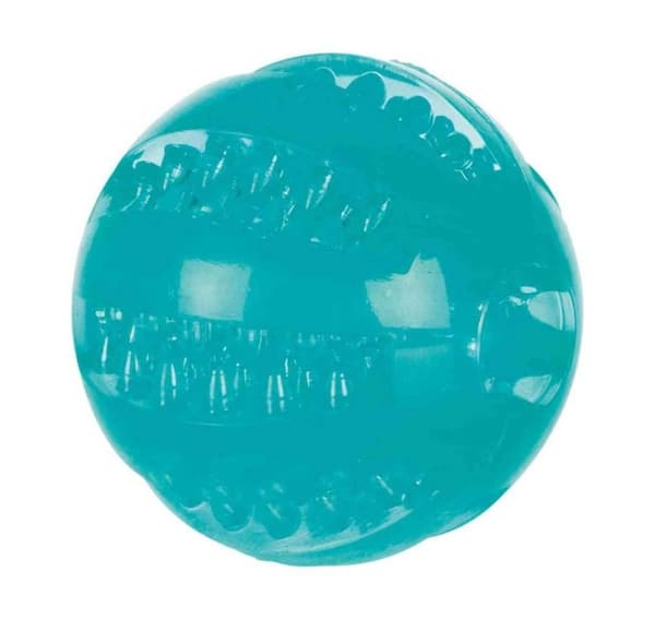 Pallo koirille DentaFun, 6cm, kelluva