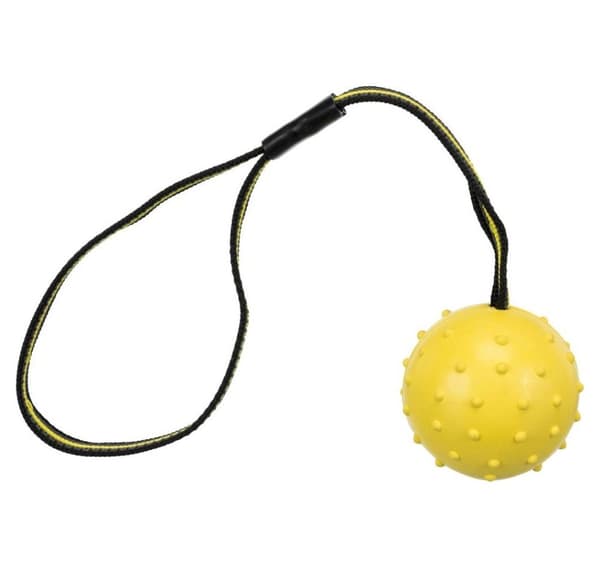 Lelu koirille Urheilupallo hihnassa, luonnonkumia, ø 6 × 35 cm