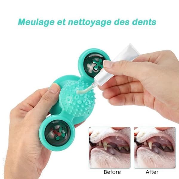 Interaktiv kattleksak - Väderkvarn - Blå - 2 kattmyntabollar - PVC-plast - 15,8 cm