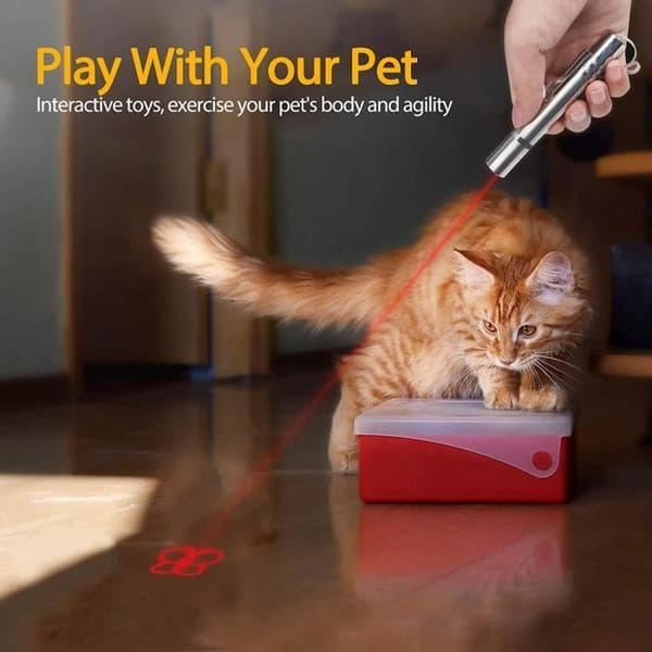 3 i 1 uppladdningsbar Pointer Cat Toy Interactive Light Training Tool med USB-laddning