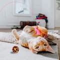 Miniatyrbild 3 av 4: Paket med 20 kattleksaker