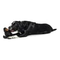 Miniatyrbillede 2 af 3: Plush legetøj til hunde Hunter Tough Kamerun Gorilla (29 cm)