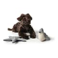 Miniatyrbillede 4 af 4: Legetøj til hunde Hunter Skagen Grå Sæl