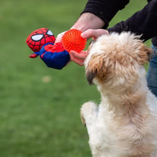 Koiranlelu Spider-Man Punainen
