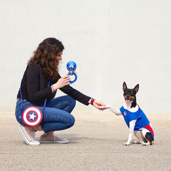 Koiranlelu The Avengers Sininen 100 % polyesteri