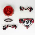 Pikkukuva 7 / 8: Welcome Gift Set for Dogs Minnie Mouse Punainen 5 Kappaletta