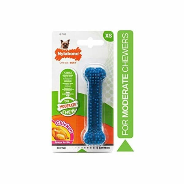 Legetøj til hunde Nylabone Small Blå Natur Kylling Termoplastisk XS-størrelse