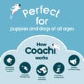 Pikkukuva 4 / 8: Training toy Coachi TRAINING DUMMY Sininen