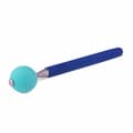 Pikkukuva 1 / 9: Training toy Coachi Stick Sininen