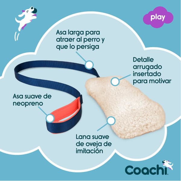 Training toy Coachi CHASE & CRINKLE Sininen