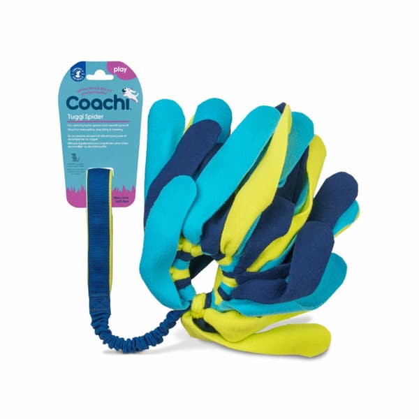 Training toy Coachi TUGGI SPIDER Sininen