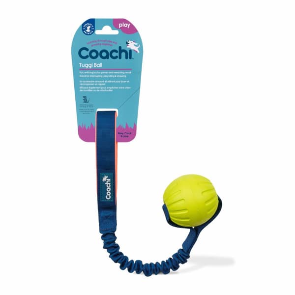 Training toy Coachi TUGGI BALL Sininen