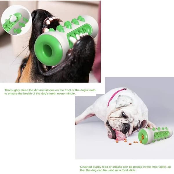 Tugglek för Hund - ZGEER - Tandborste - Blå - TPR, nylon - Muntlig Vård - Tandrengöring