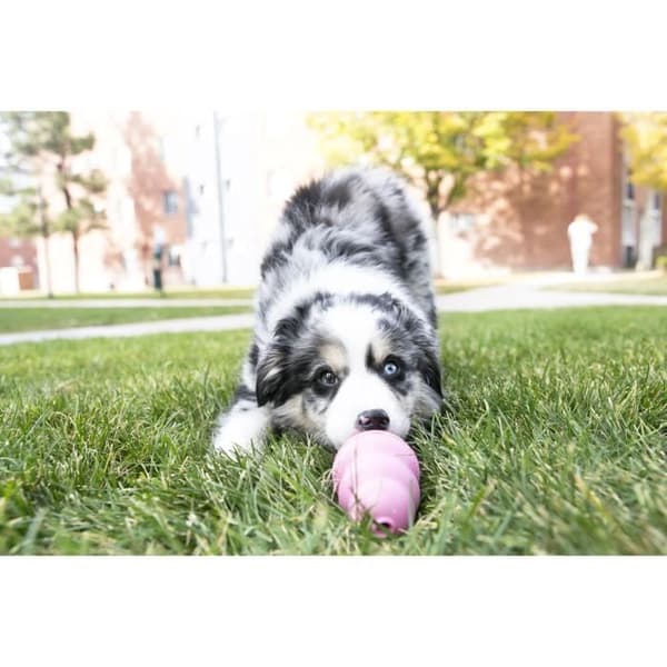 KONG Puppy Medium Rubber Teething Toy - För valp