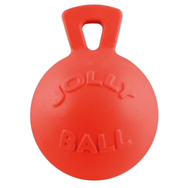 Jolly Pets Tug-N-Toss Dog Toy
