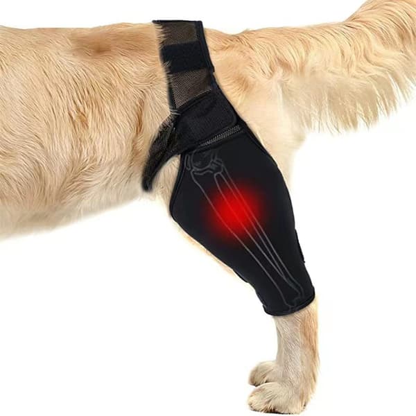 INF Benstöd för Hund – Andningsbart Knästöd för Frakturåterställning