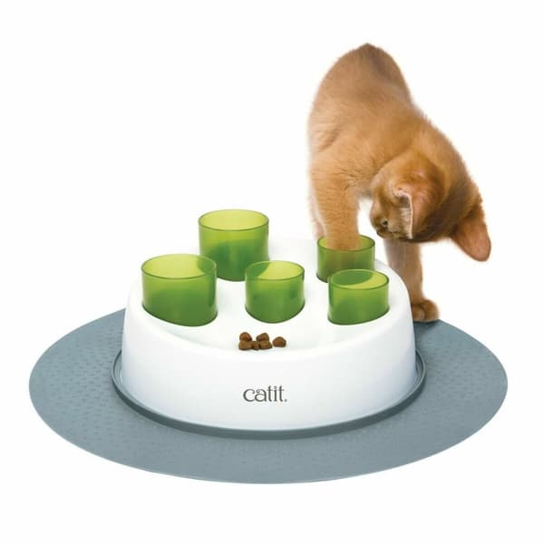 Legetøj til katte Catit Grøn
