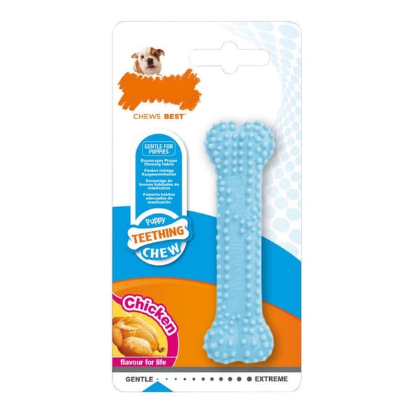 Koiran purulelu Nylabone Sininen Kana Blue Kestomuovi XS-koko Pennut