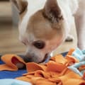 Pikkukuva 3 / 11: Nuuskimismatto lemmikkieläimille Fooland InnovaGoods