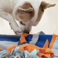 Pikkukuva 5 / 11: Nuuskimismatto lemmikkieläimille Fooland InnovaGoods