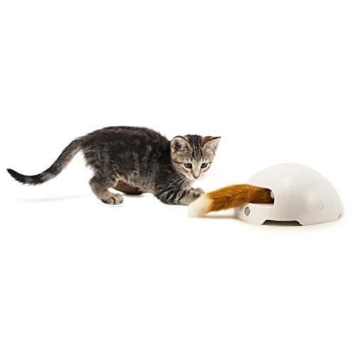 Interaktiv leksak - PetSafe - Automatisk räv - Rörelsedetektor - För katt - Inomhus
