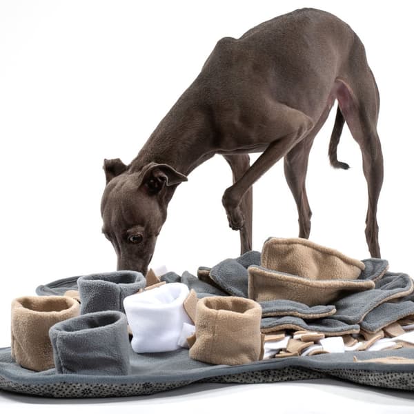 Snusemåtte til hunde PJ-028
