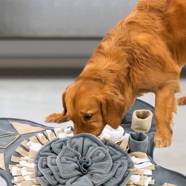 Snusemåtte til hunde PJ-028