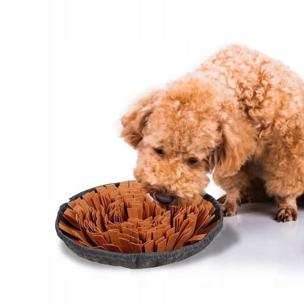 Snusemåtte til hunde PJ-095
