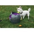 Miniatyrbild 2 av 7: PetSafe automatisk hundbollskastare 30 fot. Grå och lila PTY00-14665 411446