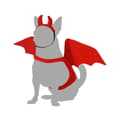 Miniatyrbild 3 av 3: Hundkostym Demon Storlek S