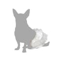 Miniatyrbild 3 av 3: Hundkostym Storlek M Tyllkjol