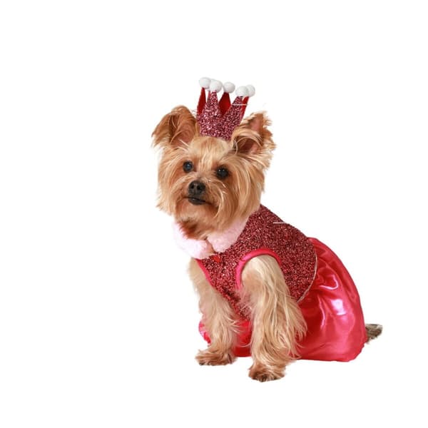 Hundedragt Størrelse M Prinsesse