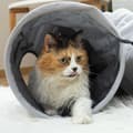 Pikkukuva 7 / 11: Taitettava Tunneli Lemmikille Funnyl InnovaGoods
