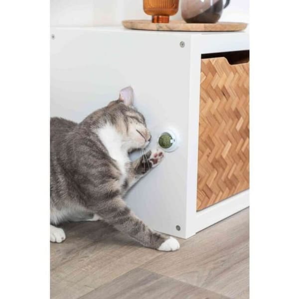 Legetøj til katte Trixie TX-42242