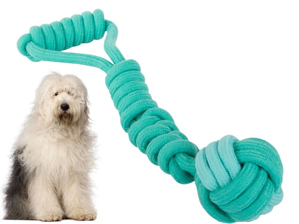 Draleke / Kampleke for Hund – Hundeleke