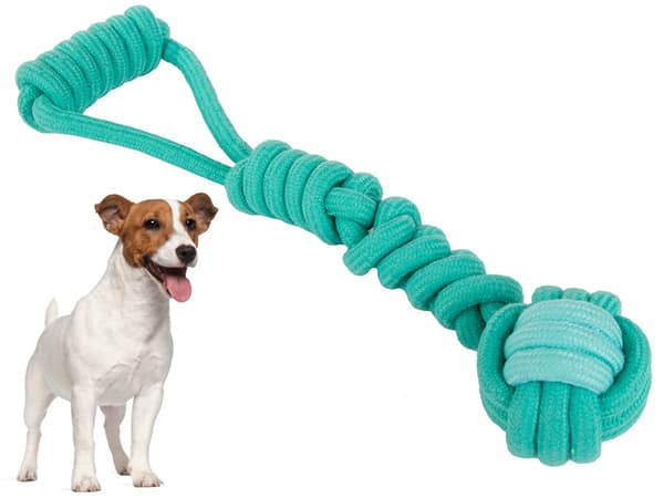Draleke / Kampleke for Hund – Hundeleke