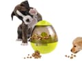 Miniatyrbilde 2 av 6: Hundeleke Ball / Godteriball - Skjul godbiter i ballen