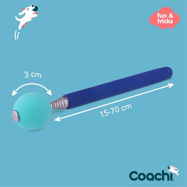Training toy Coachi Stick Blå